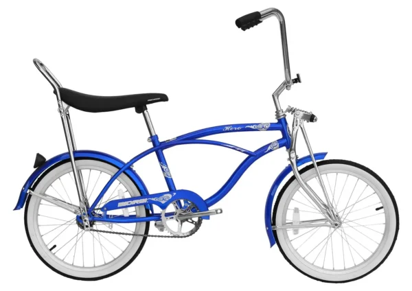 20 In. Beach Cruiser Lowrider Coaster Brake Single Speed Bicycle Bike With Banana Seat Stainless Steel Spokes