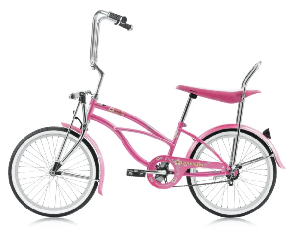 20 In. Beach Cruiser Lowrider Coaster Brake Single Speed Bicycle Bike With Banana Seat Stainless Steel Spokes - Image 5