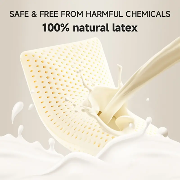 Thailand Natural Latex Bread Pillow - Image 5