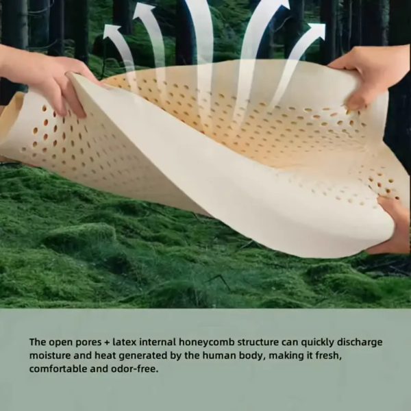 Curved Neck Protection Breathable Deep Sleep Latex Pillow - Image 6